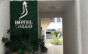 Hotel Gallo